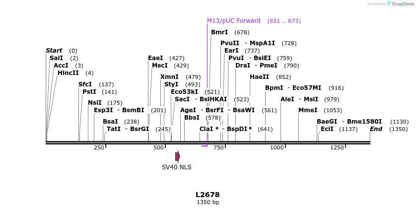16655_map