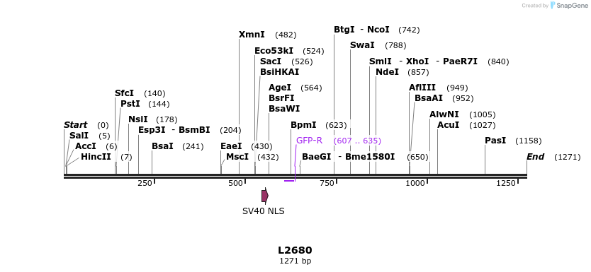 16656_map