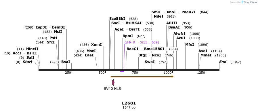 16657_map