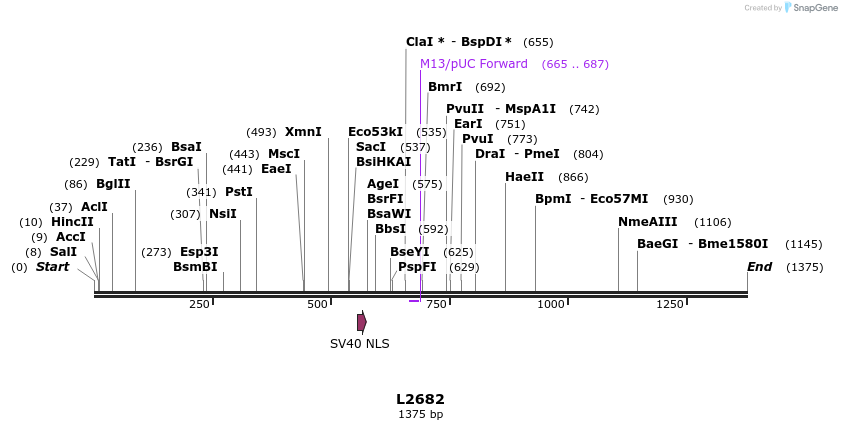 16658_map