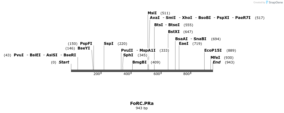 166580_map