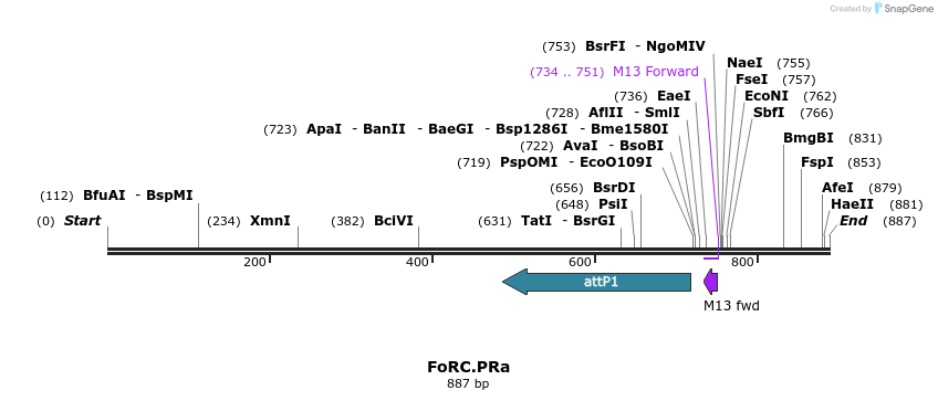 166581_map