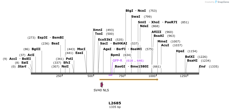 16660_map