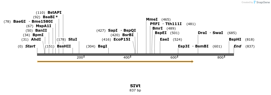 166600_map