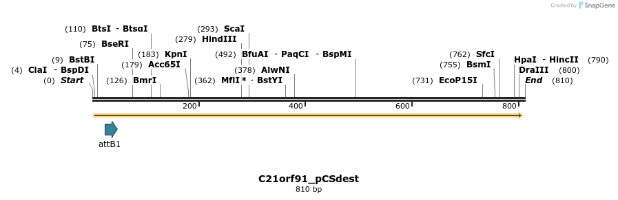 166604_map