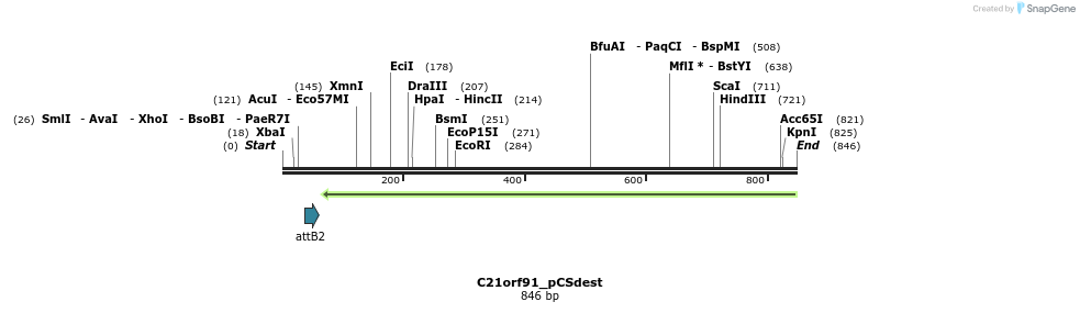 166605_map