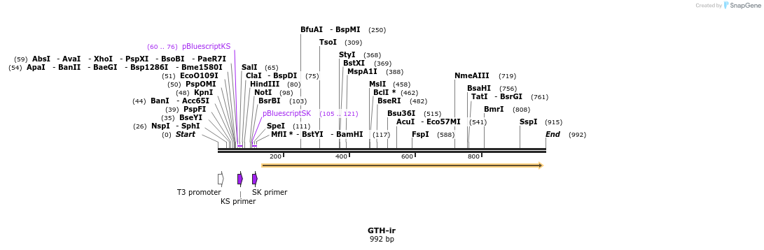 166606_map