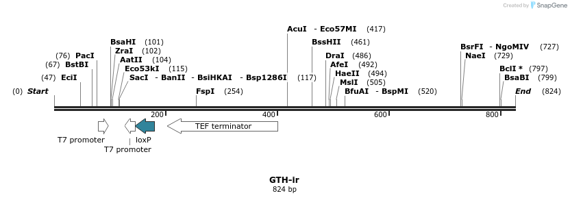 166607_map