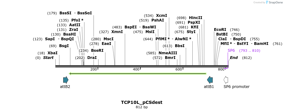 166611_map