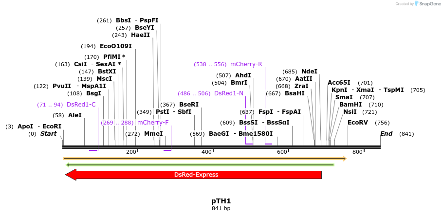 166613_map