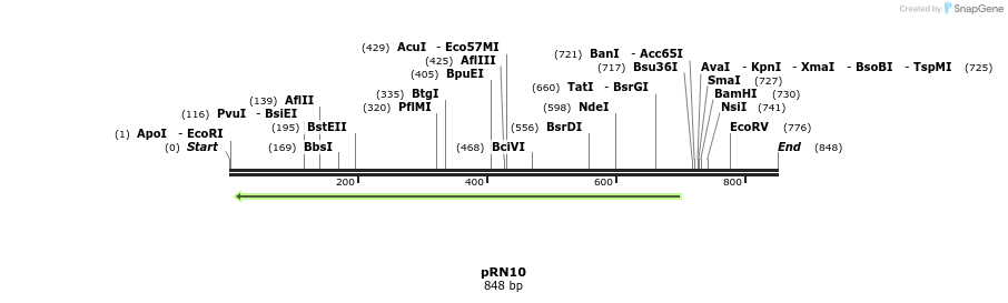 166620_map
