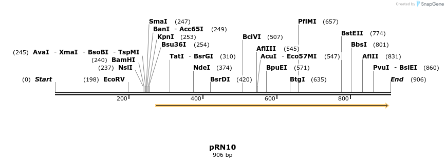 166621_map