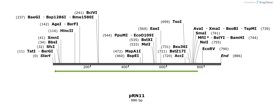 166622_map