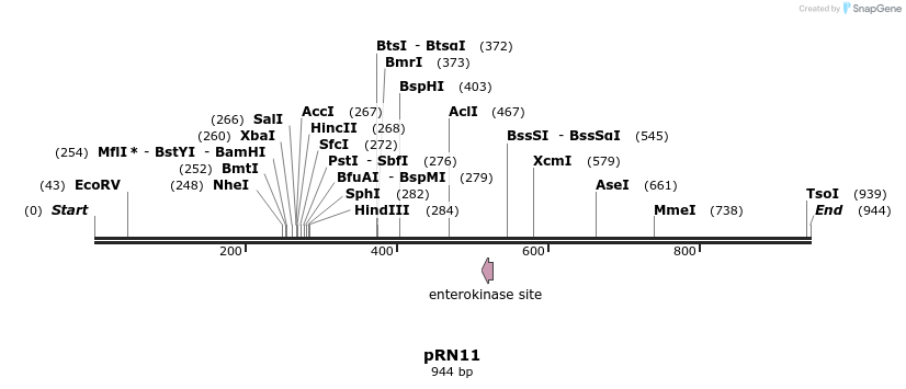 166623_map