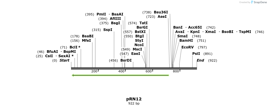 166625_map