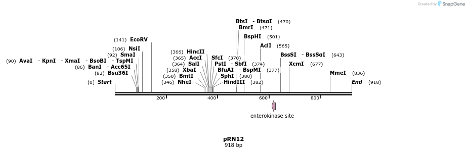 166626_map