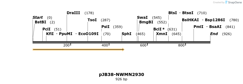 166628_map