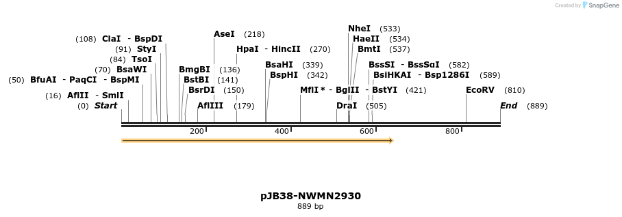 166629_map