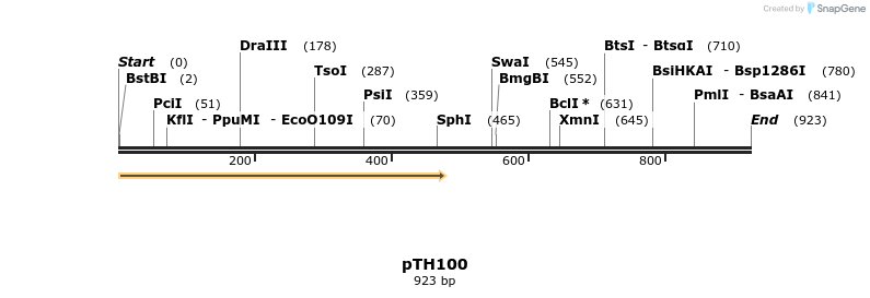 166631_map