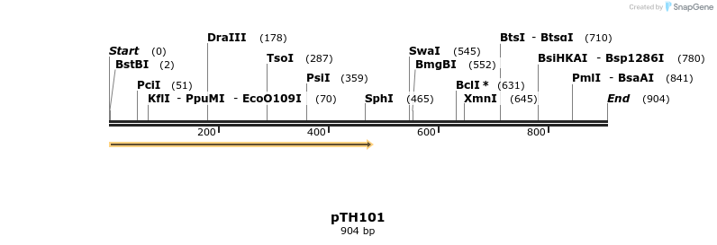 166634_map