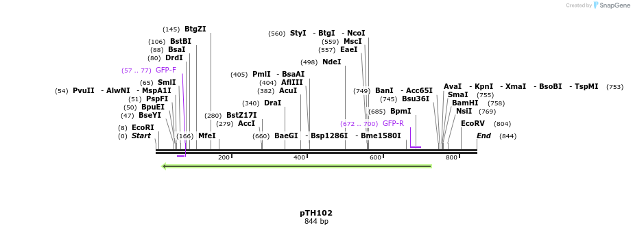 166636_map