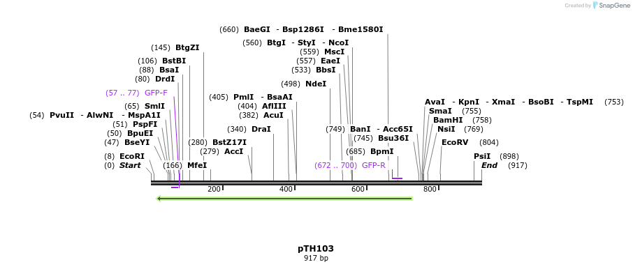 166637_map