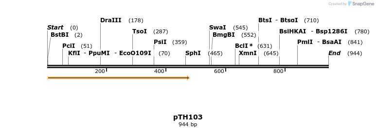 166639_map