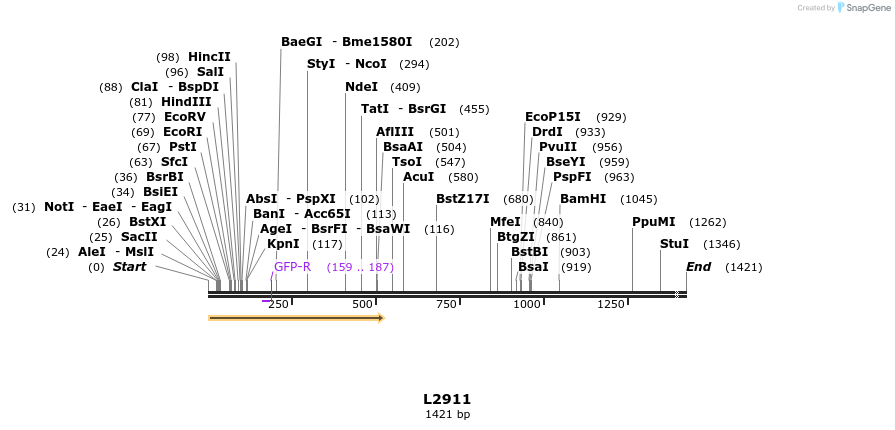 16664_map