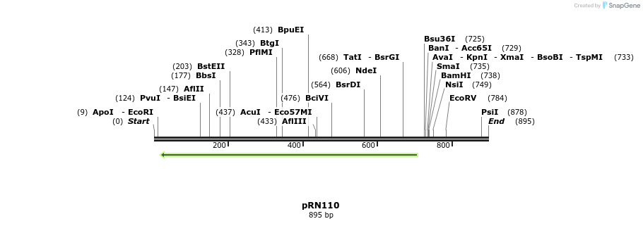 166641_map