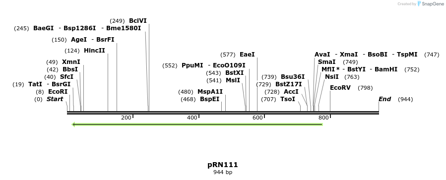 166642_map