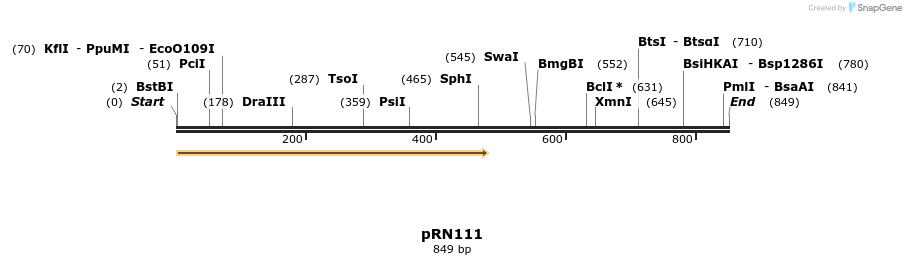 166643_map