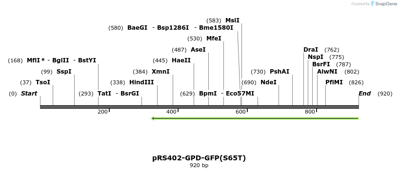 166646_map