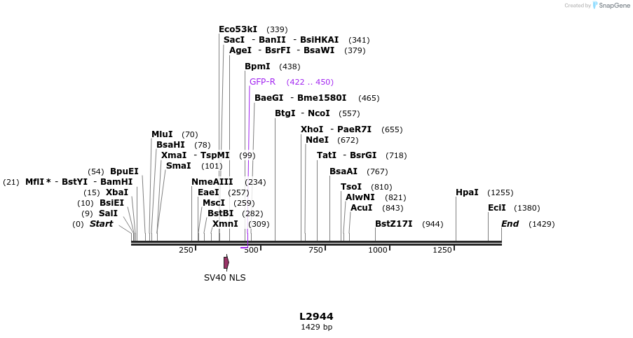 16665_map