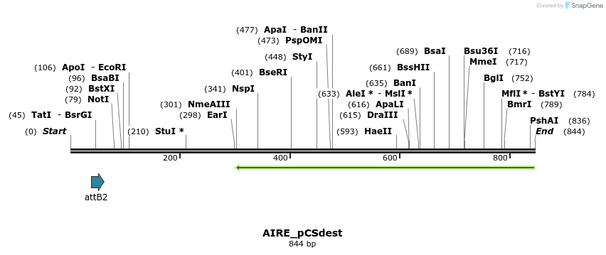 166655_map