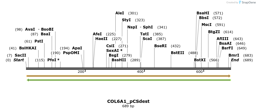 166659_map