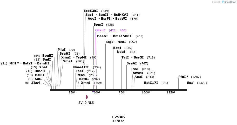 16666_map