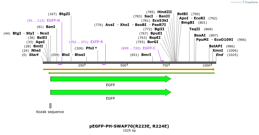166669_map