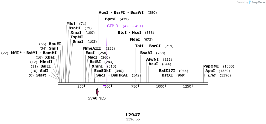 16667_map