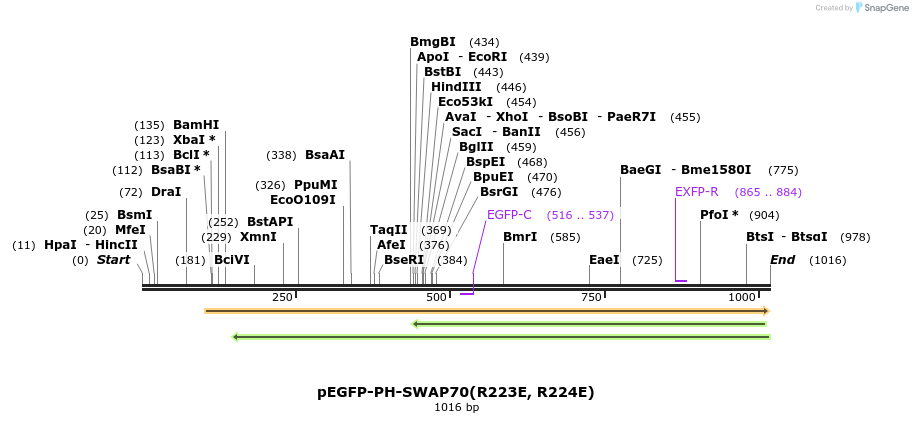166670_map