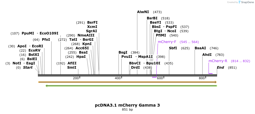 166674_map