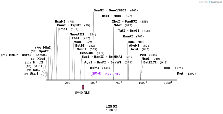 16668_map
