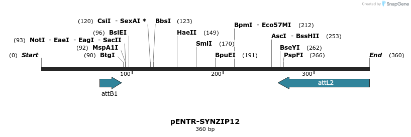 166680_map