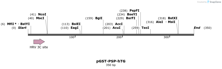 166681_map