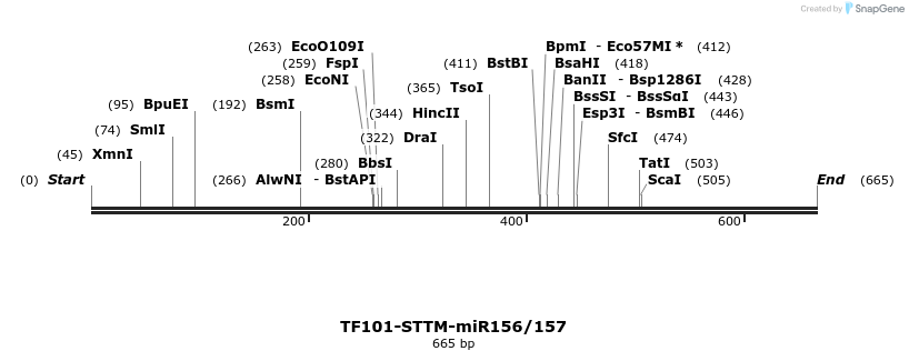 166697_map