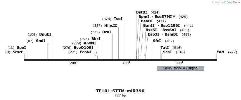 166698_map