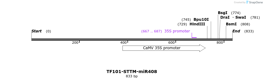 166703_map