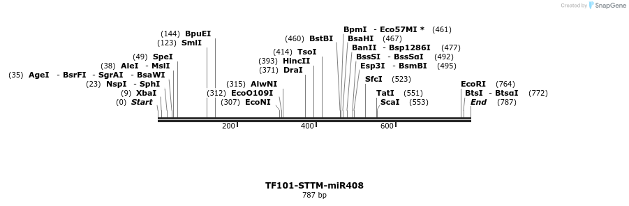 166705_map