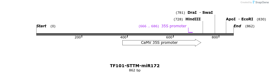 166709_map