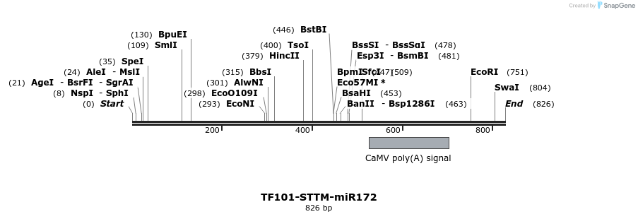 166711_map