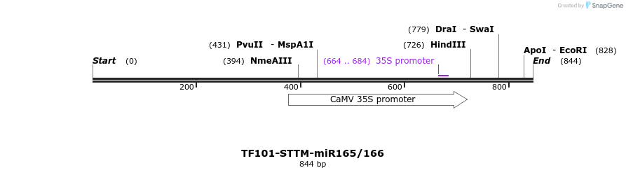 166713_map